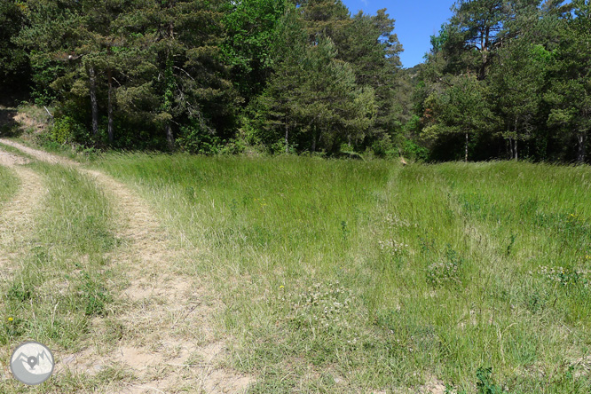 Ruta circular per la Quar del Berguedà 1 