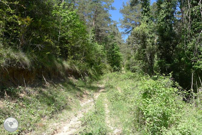 Ruta circular per la Quar del Berguedà 1 