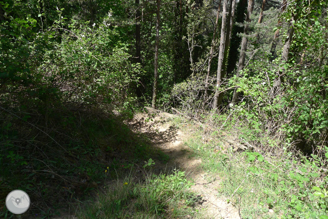 Ruta circular per la Quar del Berguedà 1 