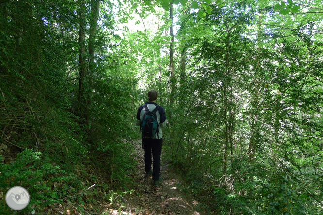 Ruta circular per la Quar del Berguedà 1 