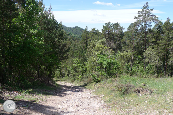 Ruta circular per la Quar del Berguedà 1 