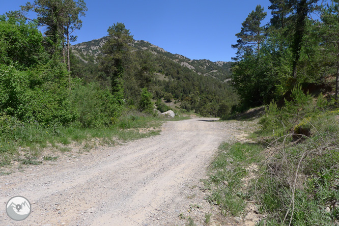 Ruta circular per la Quar del Berguedà 1 