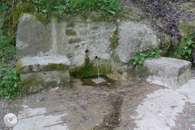 Ruta circular per la Quar del Berguedà 1 