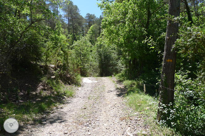 Ruta circular per la Quar del Berguedà 1 