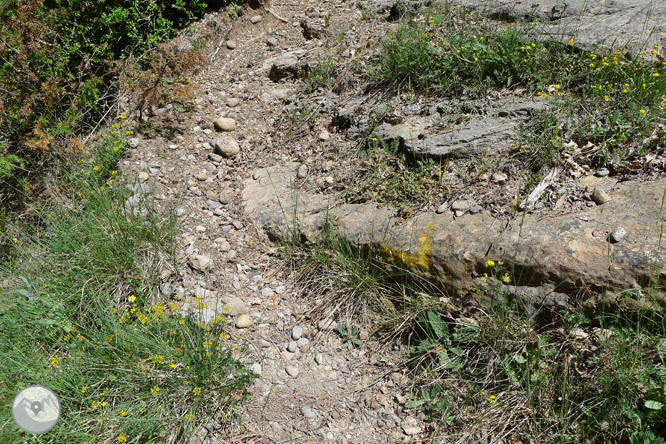 Ruta circular per la Quar del Berguedà 1 