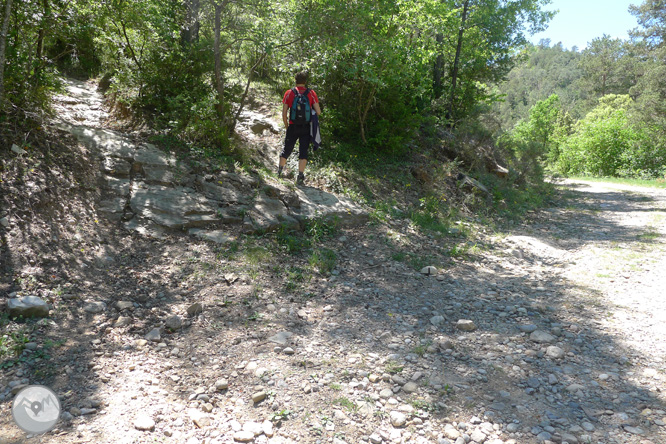 Ruta circular per la Quar del Berguedà 1 