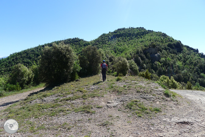 Ruta circular per la Quar del Berguedà 1 