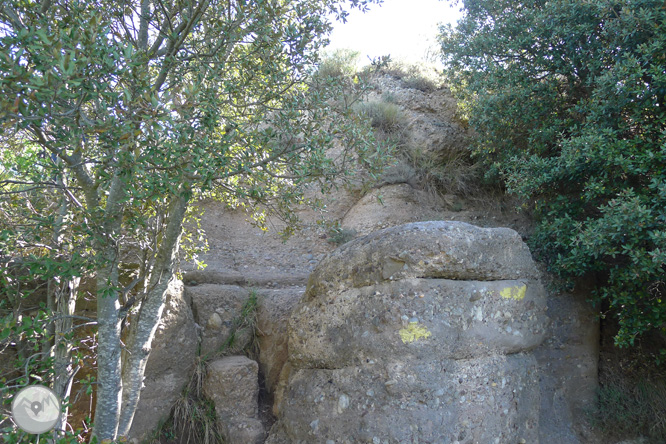 Ruta circular per la Quar del Berguedà 1 