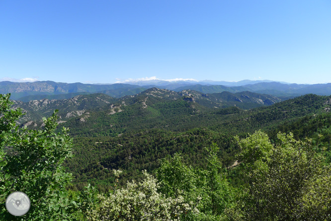 Ruta circular per la Quar del Berguedà 1 