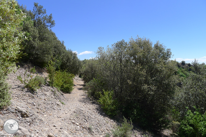 Ruta circular per la Quar del Berguedà 1 