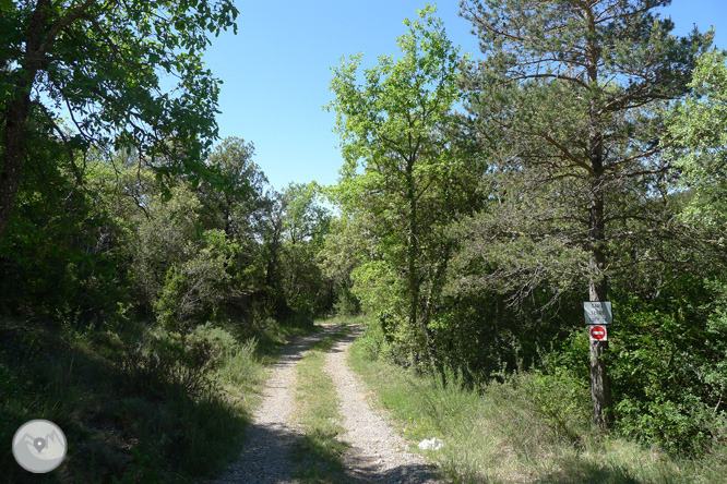 Ruta circular per la Quar del Berguedà 1 