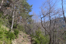 El camí flanqueja la muntanya per la zona de la Creueta.