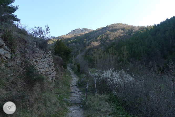 Camí antic del santuari de Montgrony des de Gombrèn 1 