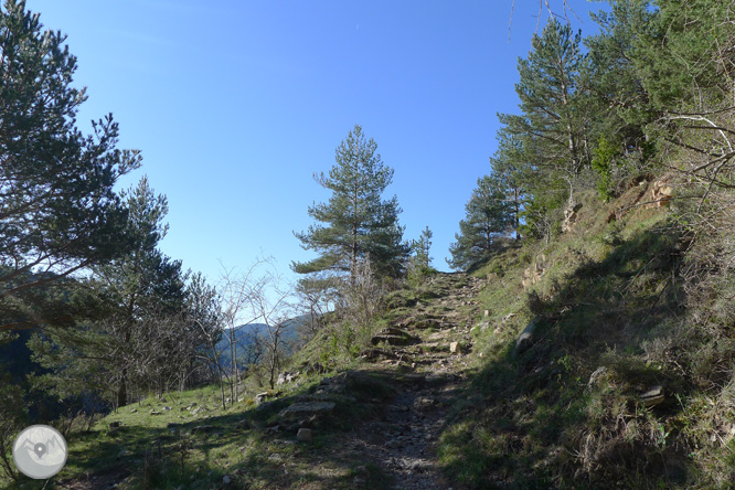 Camí antic del santuari de Montgrony des de Gombrèn 1 