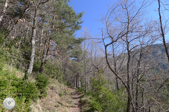 Camí antic del santuari de Montgrony des de Gombrèn 1 