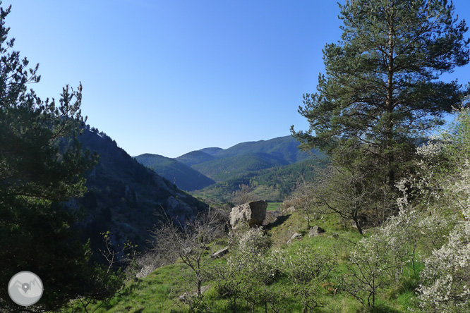 Camí antic del santuari de Montgrony des de Gombrèn 1 