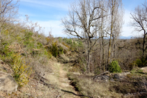 El camí, al costat de la font del Bisbe.