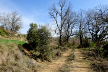 El GR 7 sota l´ermita de Sant Jaume.