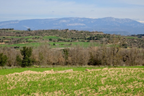 Vista del massís del Port del Comte i la serra del Cadí.