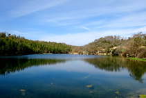 La pineda i la roureda al voltant de l´embassament.