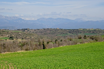 Vistes a la serra del Verd i el Pedraforca.