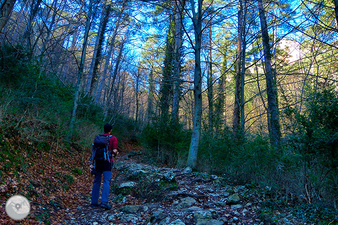 Santuari de Queralt des de Berga 1 