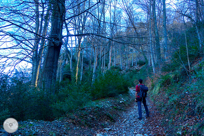 Santuari de Queralt des de Berga 1 