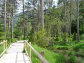 Sender accessible del Cornato a la vall de Pineta