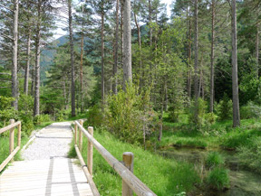 Sender accessible del Cornato a la vall de Pineta