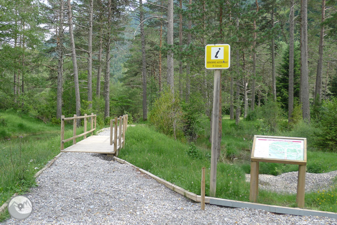 Sender accessible del Cornato a la vall de Pineta 1 