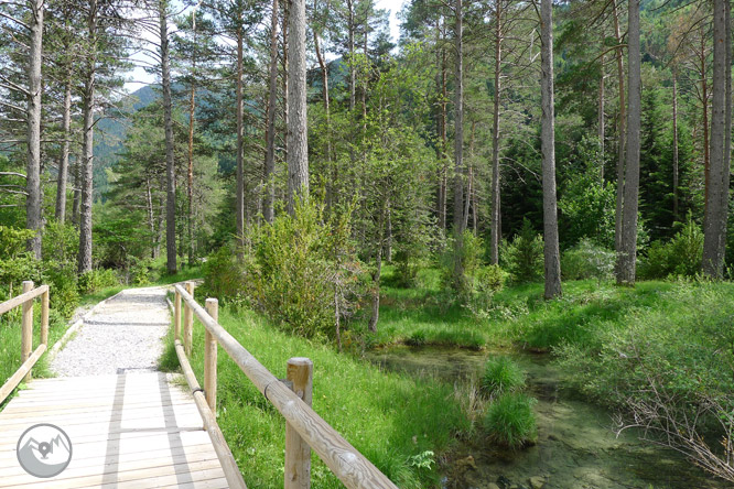 Sender accessible del Cornato a la vall de Pineta 1 