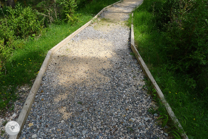 Sender accessible del Cornato a la vall de Pineta 1 