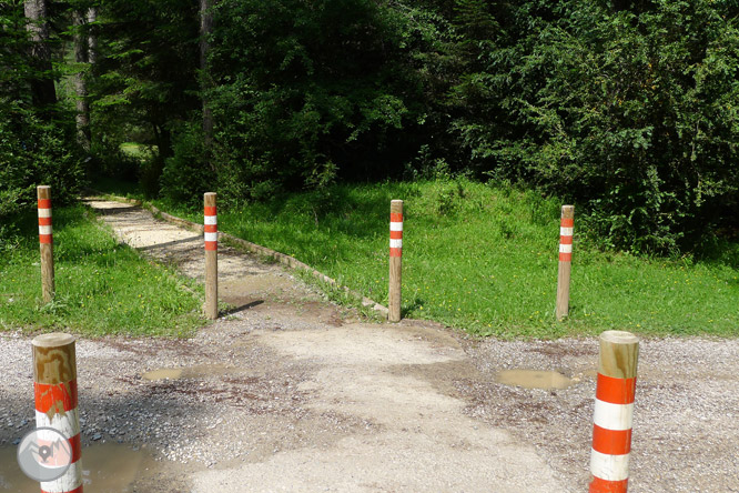 Sender accessible del Cornato a la vall de Pineta 1 