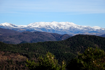 El massís del Canigó des de la serra de Puig d´Estela.