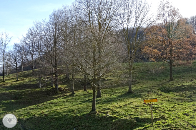 La serra de Puig d