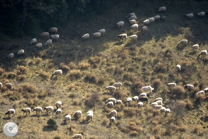 Serra Seca i el Pla de les Guàrdies des de Cambrils 1 