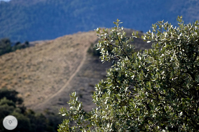 Serra Seca i el Pla de les Guàrdies des de Cambrils 1 