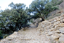 Camí de ferradura cap a Enviny.