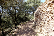 Parets de pedra seca a Estac.