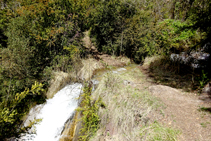 Torrent camí a Mencui.