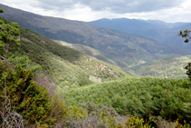 El bosc de Tolzó i la muntanya d´Estac.