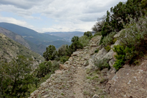 Camí empedrat a la fondalada de la llau del Llop.