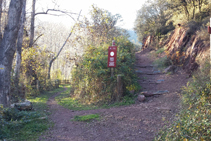 Cruïlla de camins, seguim a l´esquerra.