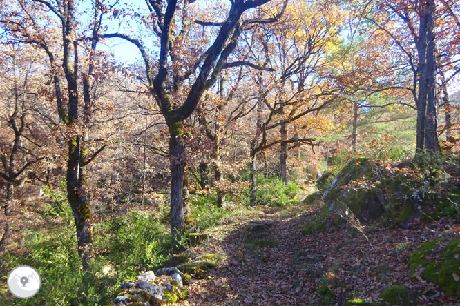 Tornafort i la vall de Siarb des de Sort 1 