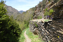 Murs de pedra seca al camí de la Solana.