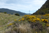 Coll de la Tàpia.