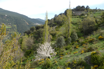 Baixant cap a Sant Julià.