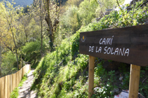 Camí de la Solana.