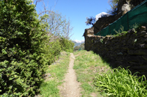 Camí entre murs de pedra seca.