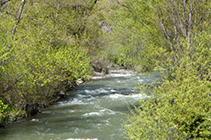 El riu Valira al seu pas per Aixovall.